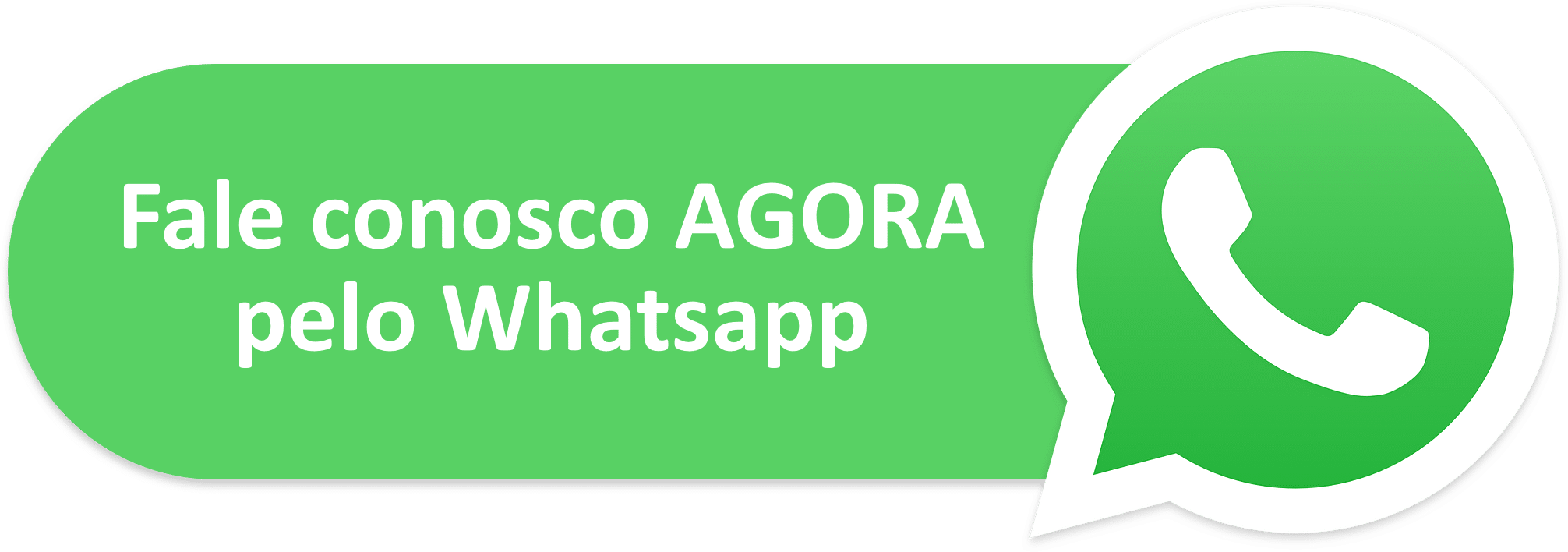 Fale conosco